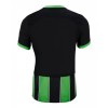 Camiseta de fútbol Brighton Hove Albion 3ª equipación 2024-25